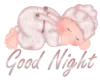 good night
