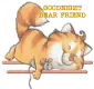 Cat and Mouse 
