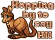 Hopping by Hi kngroo