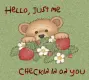 Pop Up Teddy Bear Greetings