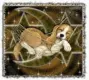 Good Night Puppy