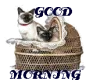 TWO CATS IN BASSINET