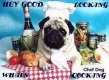 PUG DOG WITH PICNIC