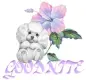 sweet dreams