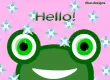 Frog Hello