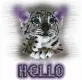 hello
