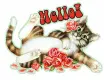Hello~Cat
