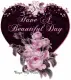Have A Beautiful Day