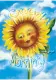 Morning sun flower
