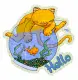 Hello~Cat