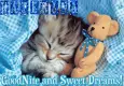GOOD NIGHT