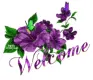 Welcome  with flowers and butterflies