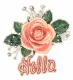 Hello~Rose