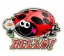 Hello~Ladybug