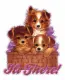 Hi There~Puppies
