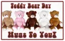 teddy bear hugs