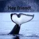 Hey friend!