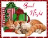 good night
