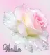 Hello