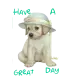 have a great day