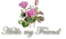 HELLO FRIEND