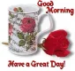 good morning have a great day