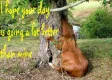 Have a better day