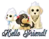 Hello