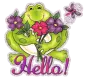 Hello~Frog