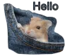 Hello