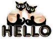 Hello