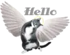 Hello
