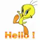 Hello