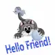 Hello Friend !