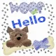 Hello