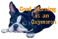Good Morning is an Oxymoron