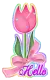 Hello~Tulip