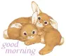 good morning