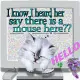 Hello, looking for that mouse