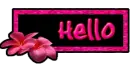 hello