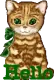 CAT WITH HELLO