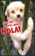 Hola 
