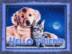 hello