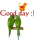 good day