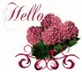 Hello