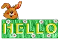 Hello