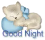 good night