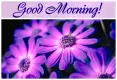 Good Morning