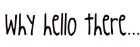 why hello there