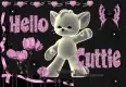 hello cuttie